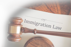 immigrationlaw2