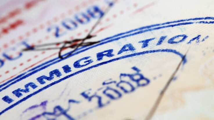 Common and Complex Issues an Immigration Lawyer Can Help Solve